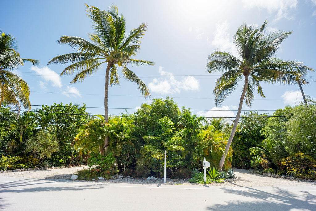 81 Coral Avenue - Photo 1