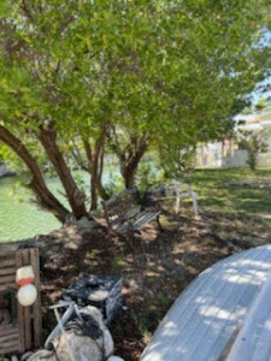 149 Iroquois Drive - Photo 1