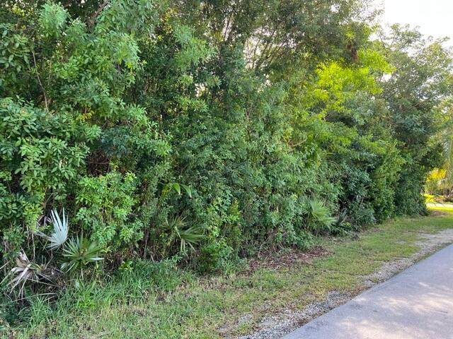 889 Loggerhead Lane - Photo 1