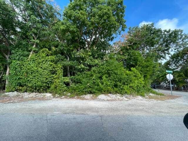 Lot 46 Indian Avenue - Photo 1