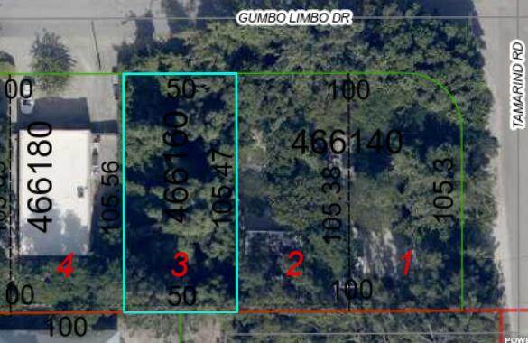  Gumbo Limbo Drive - Photo 1