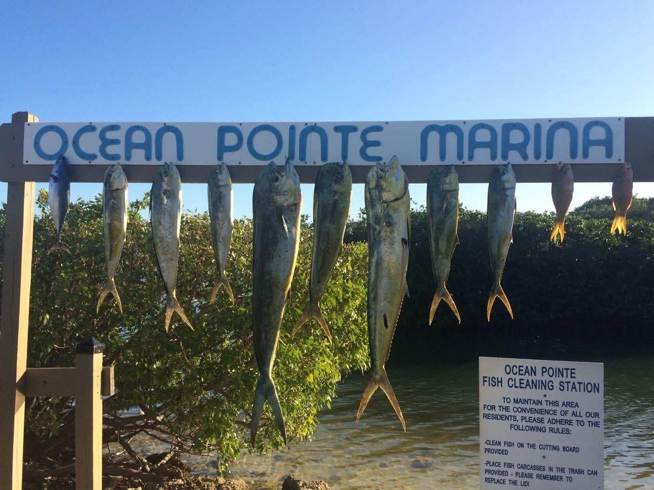 500 Burton Drive - Photo 1