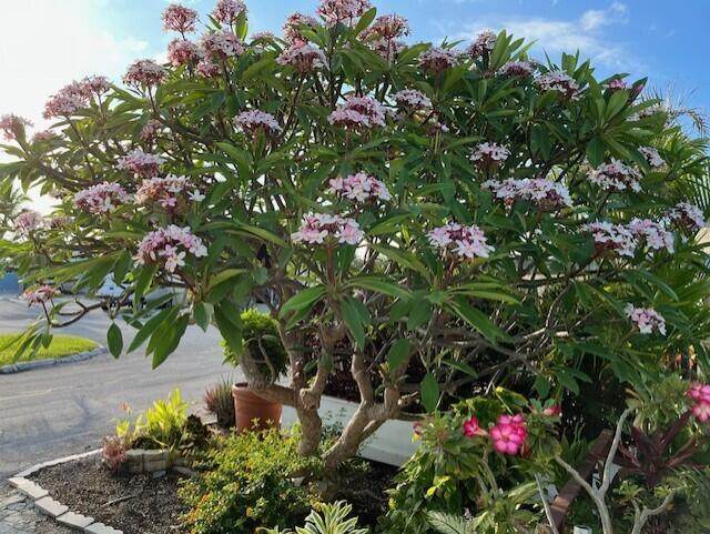 55 Boca Chica Road - Photo 1