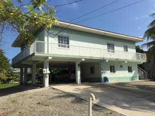423 Calle Limon - Photo 1