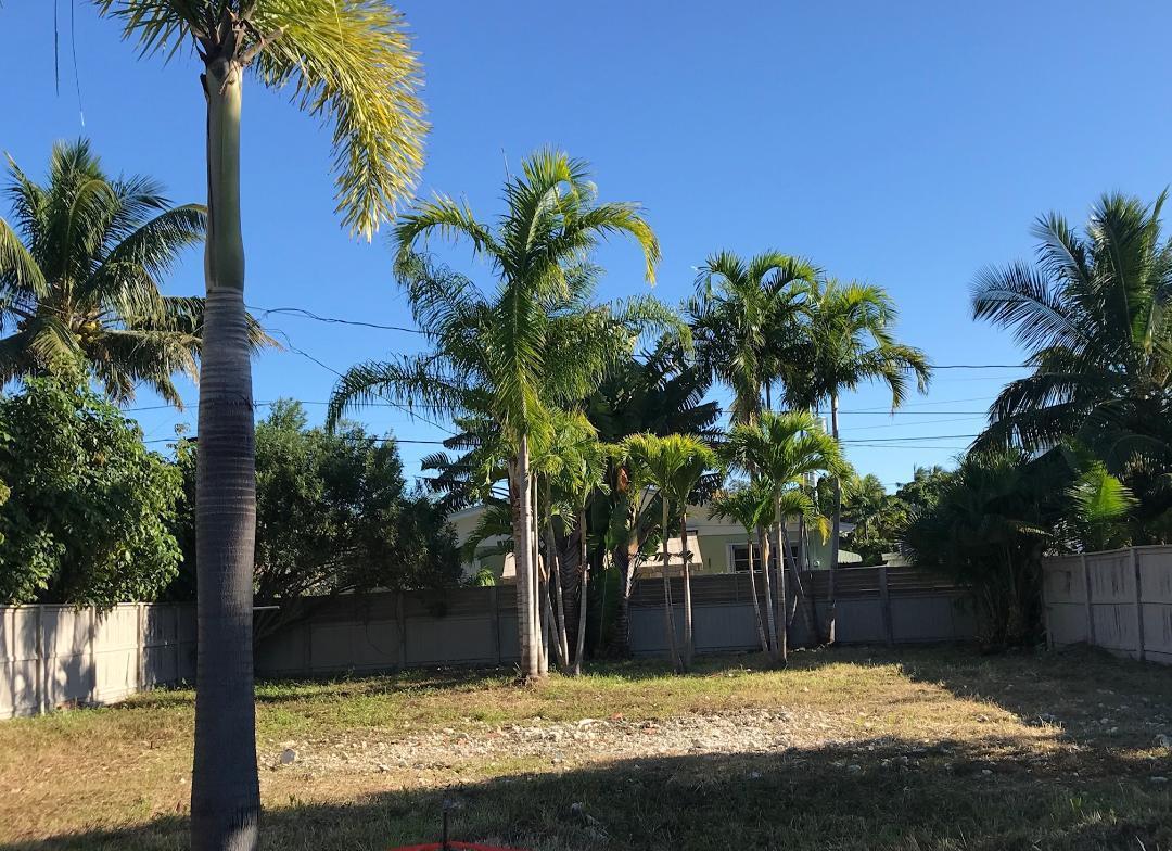 1610 South Street - Photo 1