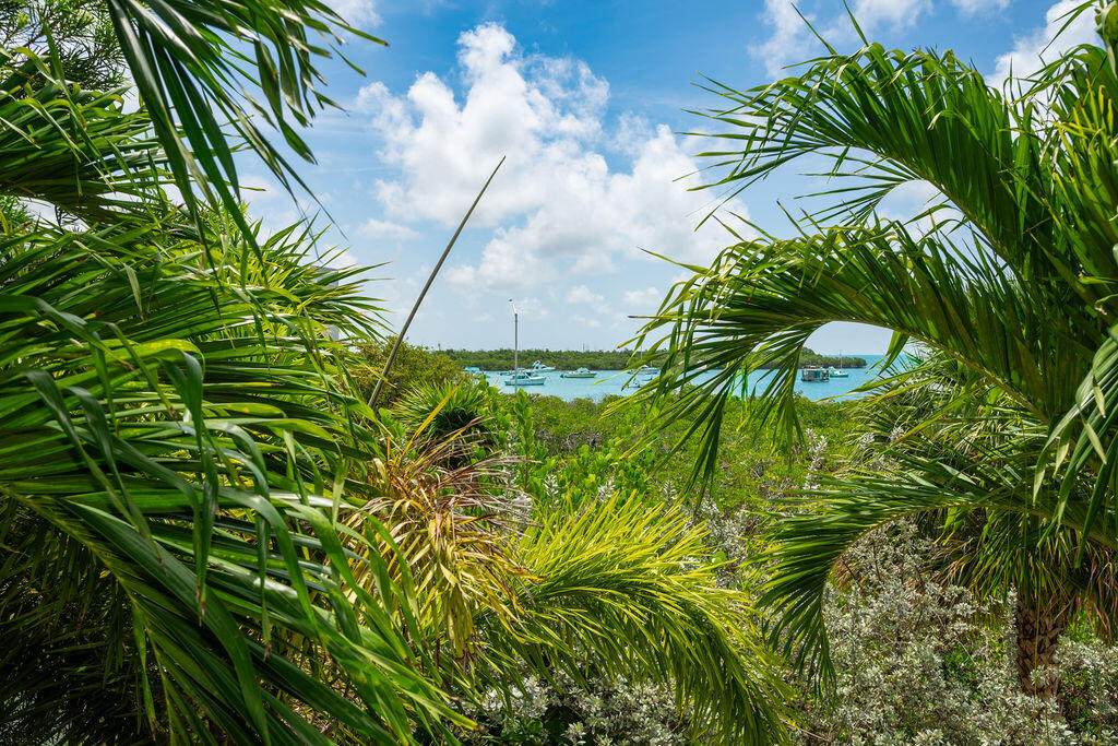 https://bt-photos.global.ssl.fastly.net/flkeys/orig_boomver_2_620515-2.jpg