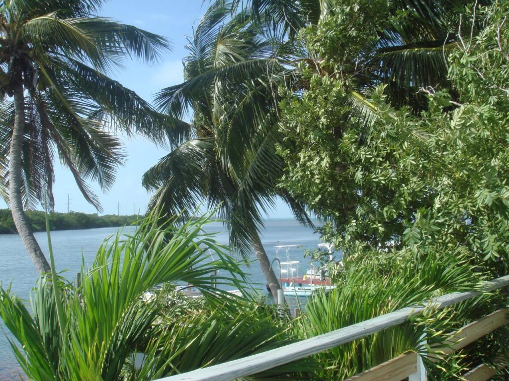 50 50 Conch Avenue - Photo 1