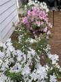 5832 Bay View Drive - Photo 40