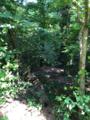 0 Ohara Drive - Photo 2