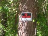 3107 Riviera Drive - Photo 18