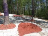 3107 Riviera Drive - Photo 8
