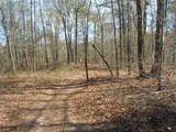 0 Nebo Road - Photo 3