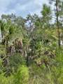 0 La Sole Lane - Photo 23