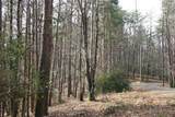 1211 Oglethorpe Mountain Court - Photo 3