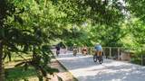 780 Memorial Drive - Photo 31