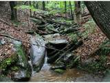 1108 Oglethorpe Mountain Road - Photo 1
