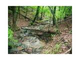 1108 Oglethorpe Mountain Road - Photo 5