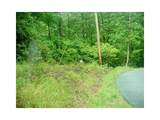 1108 Oglethorpe Mountain Road - Photo 8