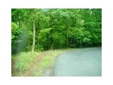 1108 Oglethorpe Mountain Road - Photo 9