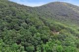 7345 Skyline Drive - Photo 10