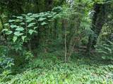 00 Dodson - Photo 9