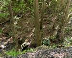 1121 Oglethorpe Mountain Road - Photo 1