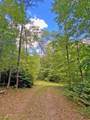 153AC White Path Road - Photo 11
