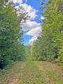 153AC White Path Road - Photo 13