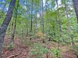 153AC White Path Road - Photo 3