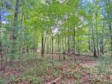 153AC White Path Road - Photo 4