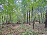 153AC White Path Road - Photo 5