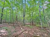 153AC White Path Road - Photo 7