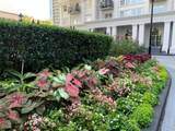 195 14th Street - Photo 35