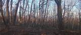 000 Lower Sassafras Parkway - Photo 10