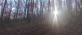000 Lower Sassafras Parkway - Photo 14