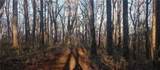 000 Lower Sassafras Parkway - Photo 15