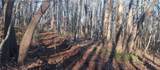 000 Lower Sassafras Parkway - Photo 16