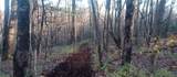 000 Lower Sassafras Parkway - Photo 18