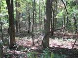 000 Lower Sassafras Parkway - Photo 4