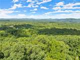 25 Long Mountain Trail - Photo 18
