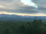 25 Long Mountain Trail - Photo 33