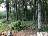 25 Long Mountain Trail - Photo 35
