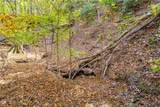 0 Crippled Oak Trail - Photo 23
