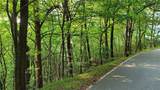 1012 Wild Turkey Bluff - Photo 14