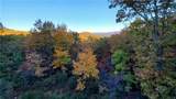 1012 Wild Turkey Bluff - Photo 6
