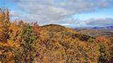 1012 Wild Turkey Bluff - Photo 7