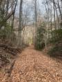 650 Mulberry Trail - Photo 39