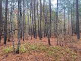 4318 Hester Town Road - Photo 12