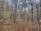 4318 Hester Town Road - Photo 17