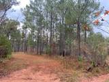 4318 Hester Town Road - Photo 20